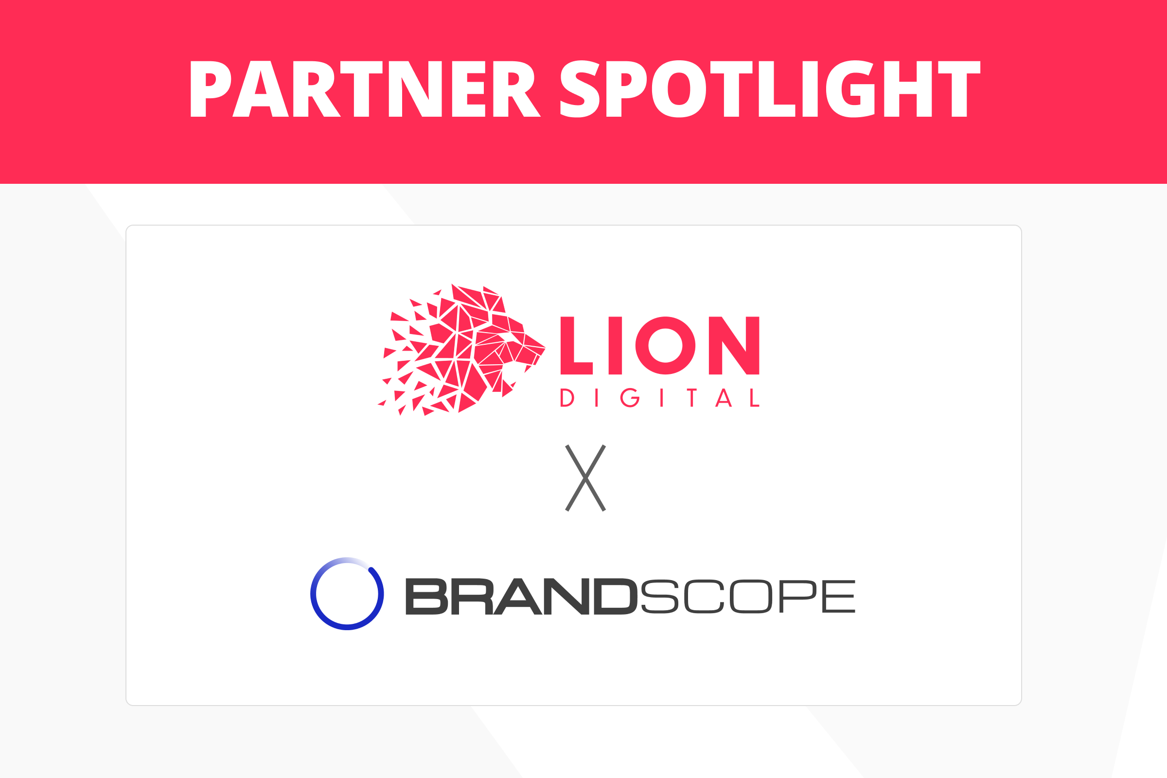 Partner Spotlight: LION Digital X Brandscope